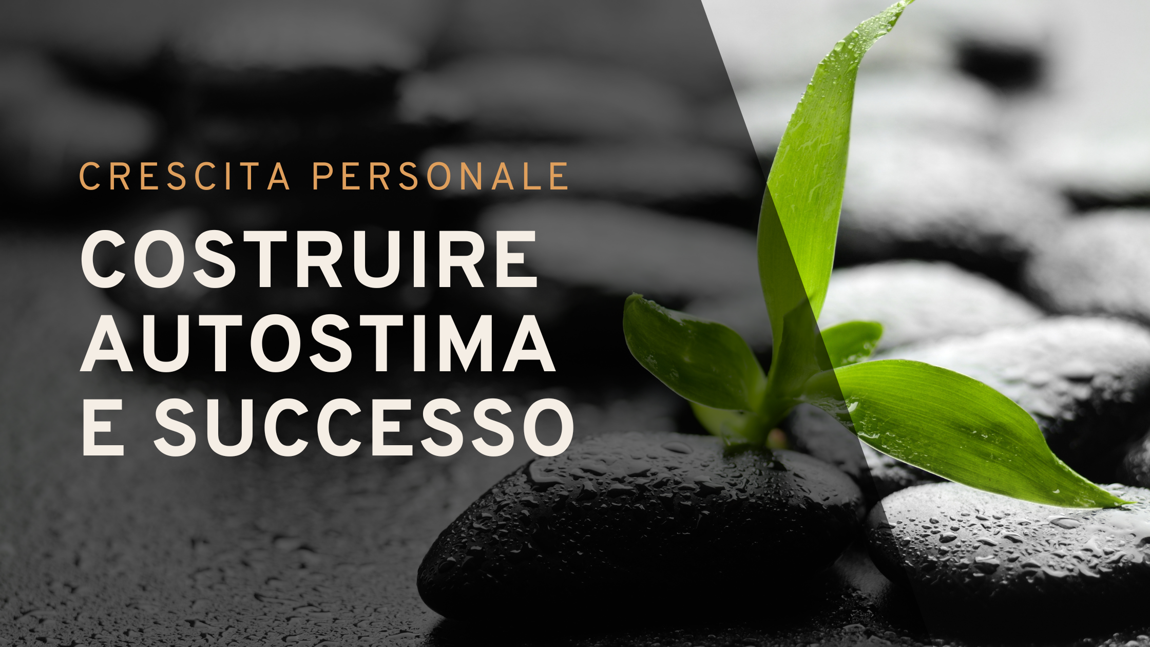 Percorsi di Crescita Personale: Costruire Autostima e Successo | Sabrina Papola